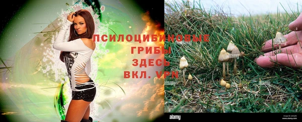 тгк Новодвинск